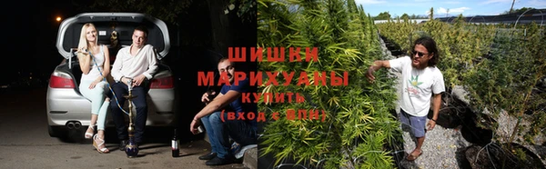 экстази Белокуриха