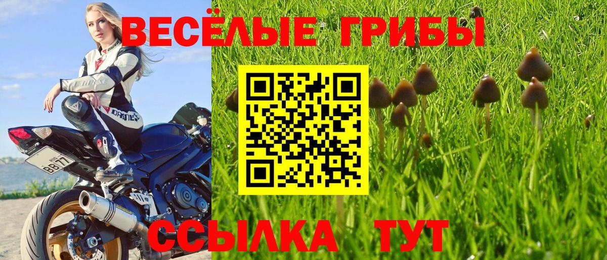 Псилоцибиновые грибы GOLDEN TEACHER Бор