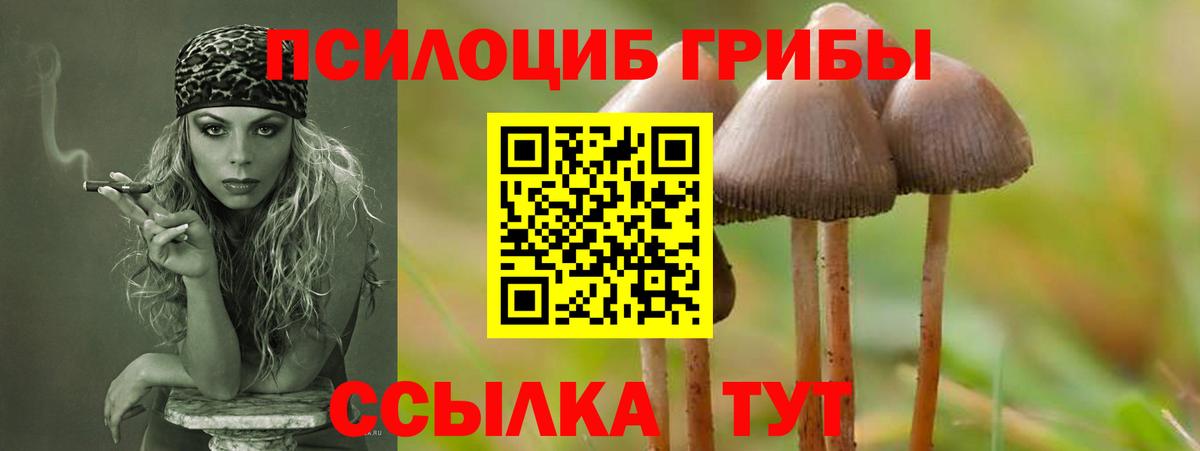 Галлюциногенные грибы Psilocybe  Галлюциногенные грибы GOLDEN TEACHER  Бор 